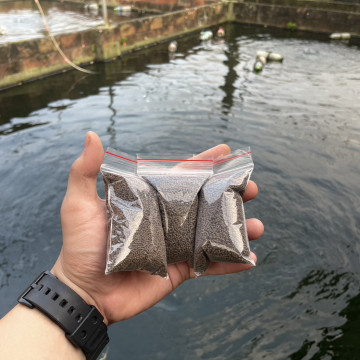 米蝦飼料50g